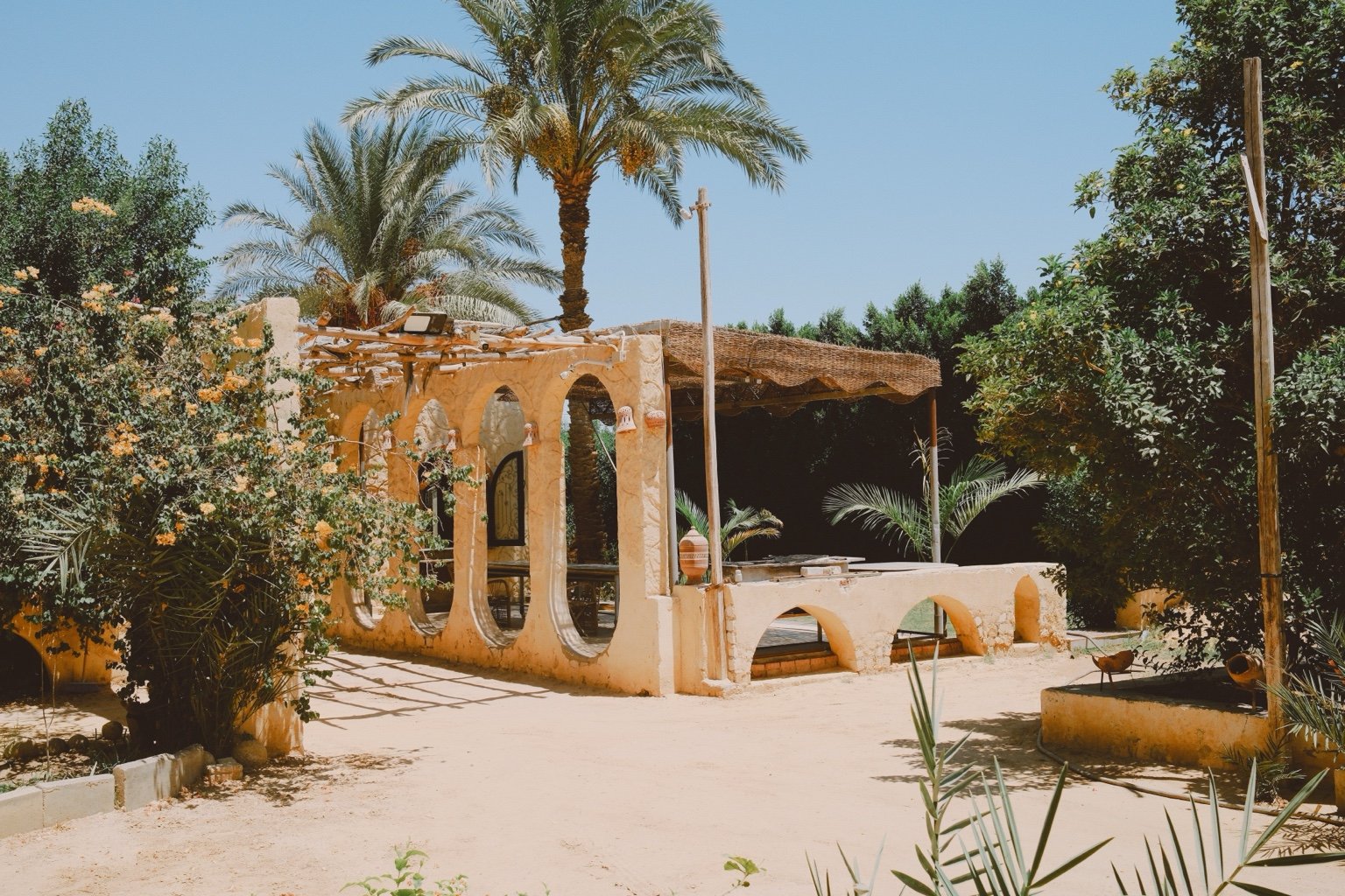 Traditional courtyard at Slow Tunis